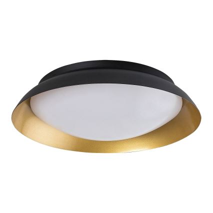 Rabalux - LED Griestu lampa LED/24W/230V 3000K d. 40 cm