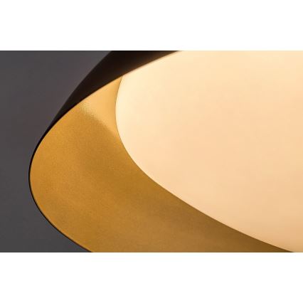 Rabalux - LED Griestu lampa LED/24W/230V 3000K d. 40 cm