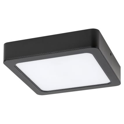 Rabalux - LED Griestu lampa LED/7W/230V 4000K 12x12 cm melna