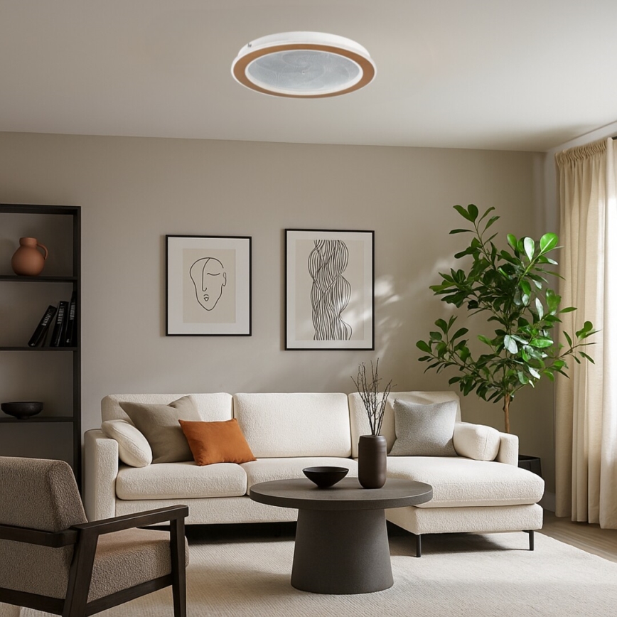 Rabalux - LED griestu lampa ar regulējamu spilgtumu, 24 W, 230 V, 3000–6500 K, Ø 40 cm + tālvadības pults