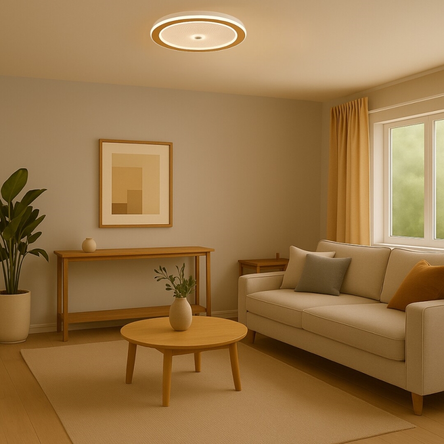 Rabalux - LED aptumšojama griestu lampa LED/34W/230V 3000-6500K Ø 51 cm + tālvadības pults