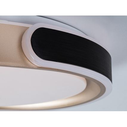 Rabalux - LED Aptumšojama griestu lampa LED/48W/230V 3000-6500K + tālvadības pults