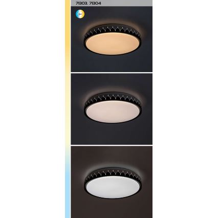 Rabalux - LED Aptumšojama griestu lampa LED/48W/230V 3000-6500K + tālvadības pults