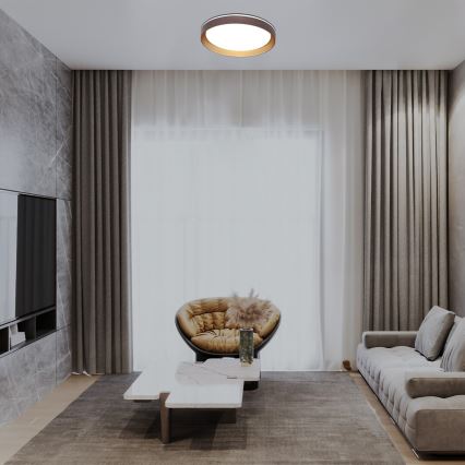 Rabalux - LED Aptumšojama griestu lampa LED/48W/230V 3000-6500K + tālvadības pults