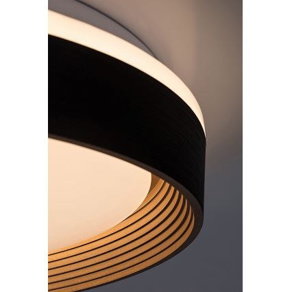 Rabalux - LED Aptumšojama griestu lampa LED/48W/230V 3000-6500K + tālvadības pults