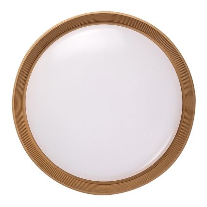 Rabalux - LED Aptumšojama griestu lampa LED/48W/230V 3000-6500K + tālvadības pults