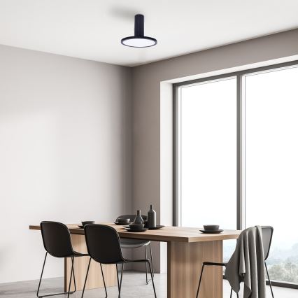 Rabalux - LED griestu lampa LED/20W/230V 3000K melna Ø 20 cm