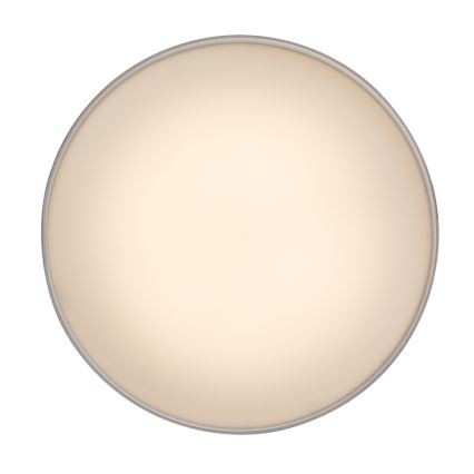 Rabalux - LED griestu gaismeklis LED/24W/230V 3000K balta Ø 14 cm