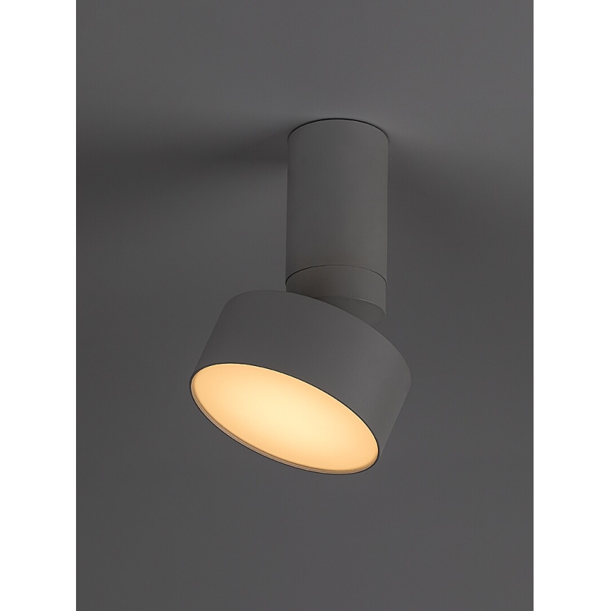 Rabalux - LED Griestu lampa LED/10W/230V 3000K balta