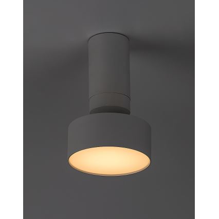 Rabalux - LED Griestu lampa LED/10W/230V 3000K balta
