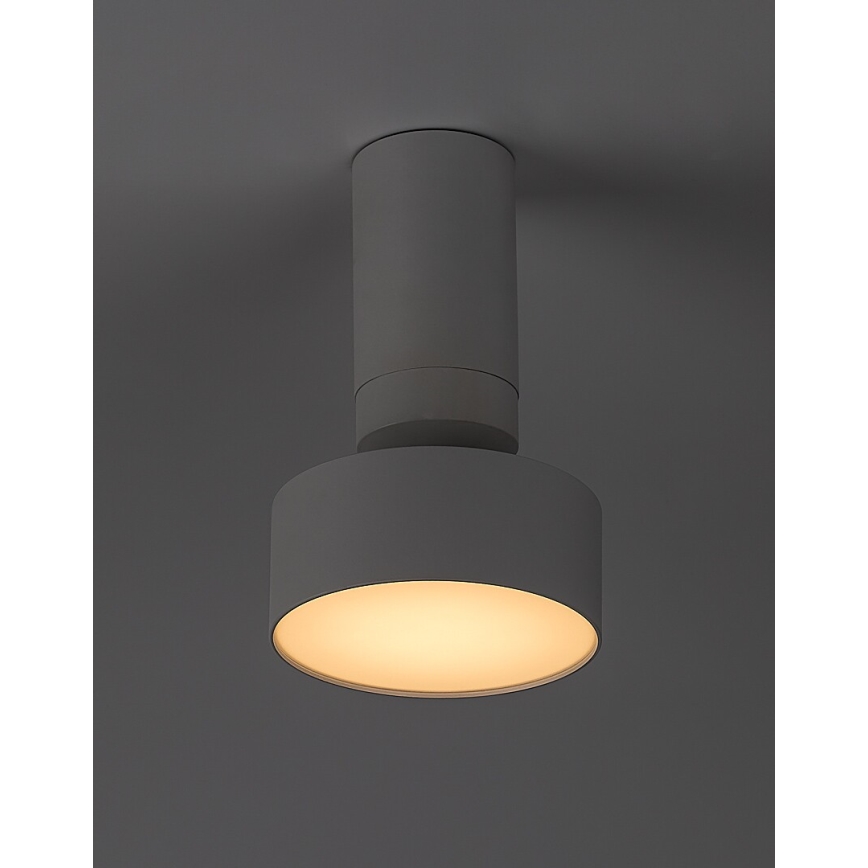 Rabalux - LED Griestu lampa LED/10W/230V 3000K balta