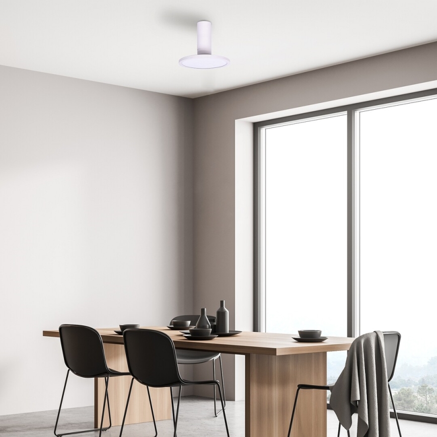 Rabalux - LED Griestu lampa LED/20W/230V 3000K balta