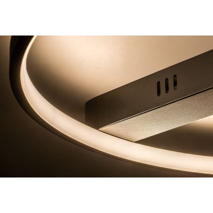 Rabalux - LED griestu lampa LED/45W/230V 3000K 50x55 cm melna