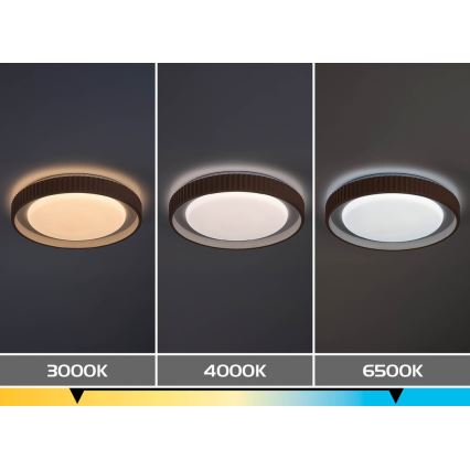 Rabalux - LED dimmējamais griestu gaismeklis LED/48W/230V 3000-6500K Ø 49,5 cm + tālvadības pults