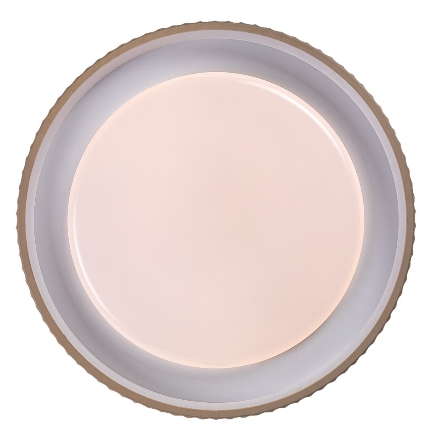 Rabalux - LED dimmējamais griestu gaismeklis LED/48W/230V 3000-6500K Ø 49,5 cm + tālvadības pults