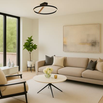 Rabalux - LED griestu lampa LED/24W/230V 3000K Ø 45 cm