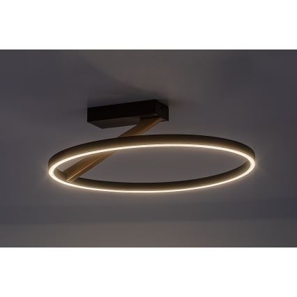 Rabalux - LED griestu lampa LED/24W/230V 3000K Ø 45 cm