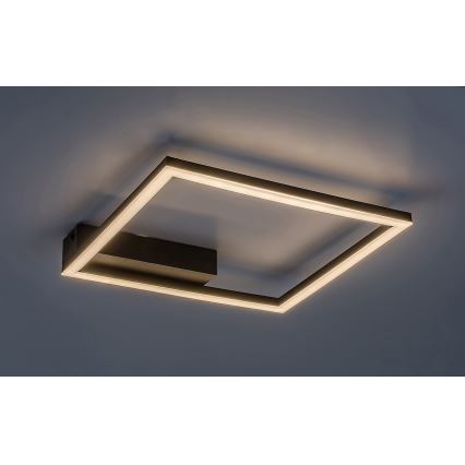 Rabalux - LED Griestu lampa LED/24W/230V 3000K