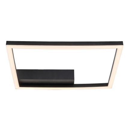Rabalux - LED Griestu lampa LED/24W/230V 3000K