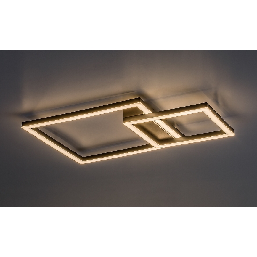 Rabalux - LED Griestu lampa LED/24W/230V 3000K