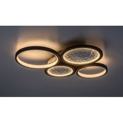 Rabalux - LED Aptumšojama griestu lampa LED/40W/230V 3000-6500K + tālvadības pults
