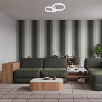 Rabalux - LED griestu lampa LED/24W/230V 3000/4000/6500K 38x51 cm matēts hroms