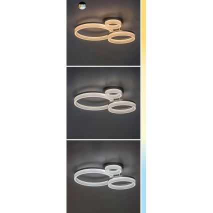 Rabalux - LED griestu gaismeklis LED/24W/230V 3000/4000/6500K 38x51 cm matēts hroms