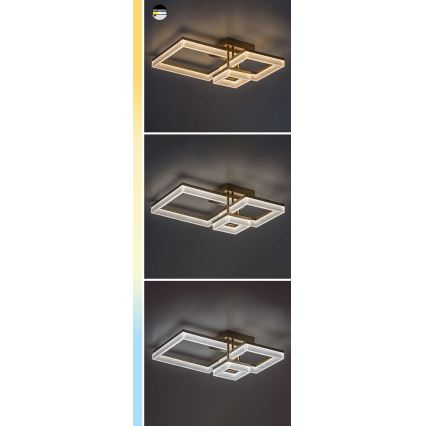 Rabalux - LED Griestu lampa LED/22W/230V 3000/4000/6500K matēts hroms