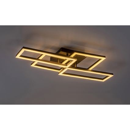 Rabalux - LED Aptumšojama griestu lampa LED/40W/230V 3000-6500K + tālvadības pults