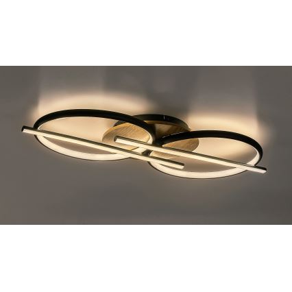 Rabalux - LED Griestu lampa LED/40W/230V 3000/4000/6500K