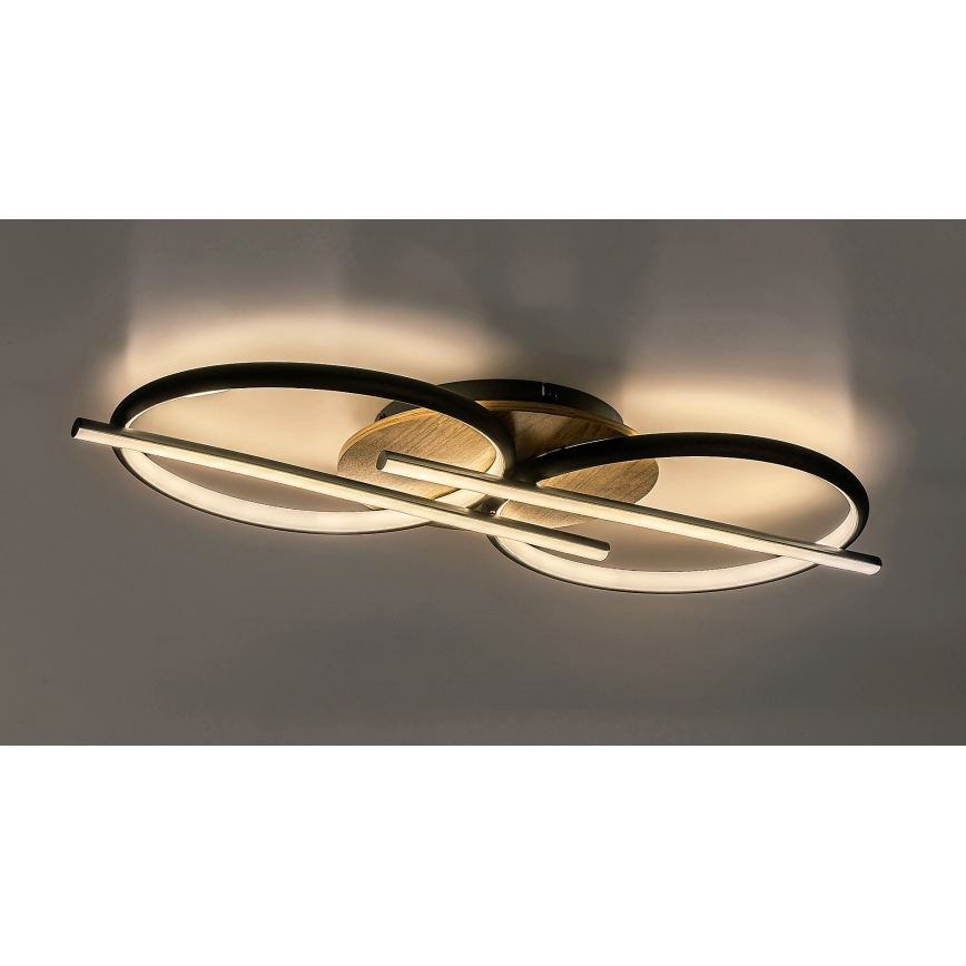 Rabalux - LED Griestu lampa LED/40W/230V 3000/4000/6500K