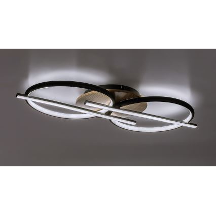 Rabalux - LED Griestu lampa LED/40W/230V 3000/4000/6500K