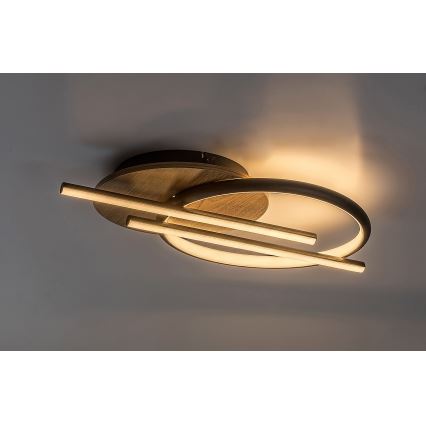 Rabalux - LED Griestu lampa LED/40W/230V 3000/4000/6500K