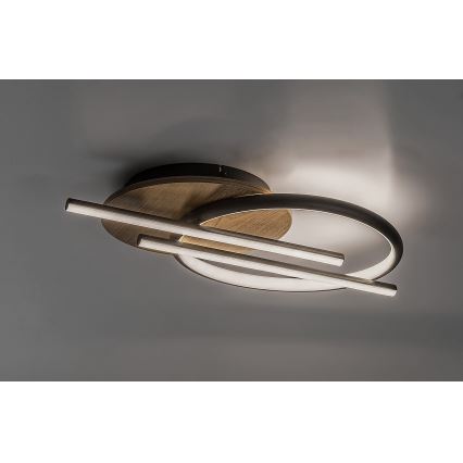 Rabalux - LED Griestu lampa LED/40W/230V 3000/4000/6500K