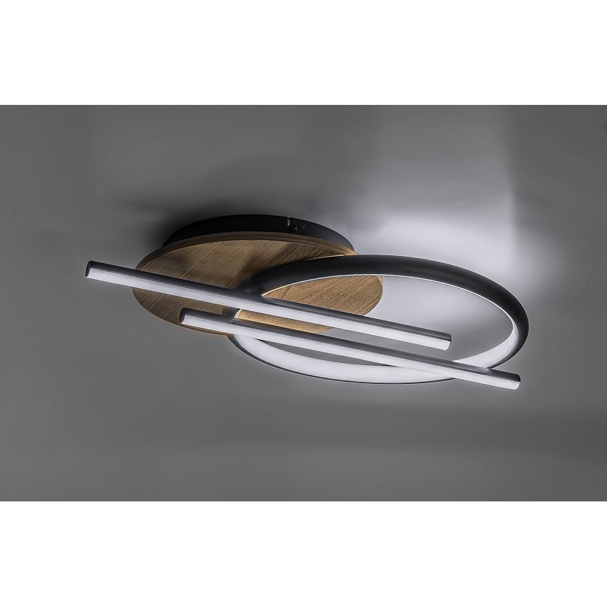 Rabalux - LED Griestu lampa LED/40W/230V 3000/4000/6500K