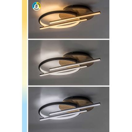Rabalux - LED Griestu lampa LED/40W/230V 3000/4000/6500K
