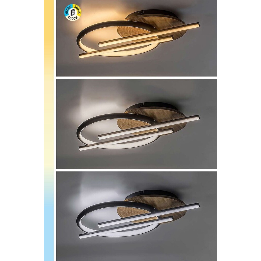 Rabalux - LED Griestu lampa LED/40W/230V 3000/4000/6500K