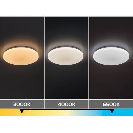 Rabalux - LED griestu gaismeklis ar regulējamu spilgtumu LED/12W/230V 3000-6500K Ø 26 cm + tālvadība