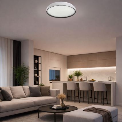 Rabalux - LED griestu gaismeklis ar regulējamu spilgtumu LED/60W/230V 3000-6500K Ø 58 cm + tālvadība