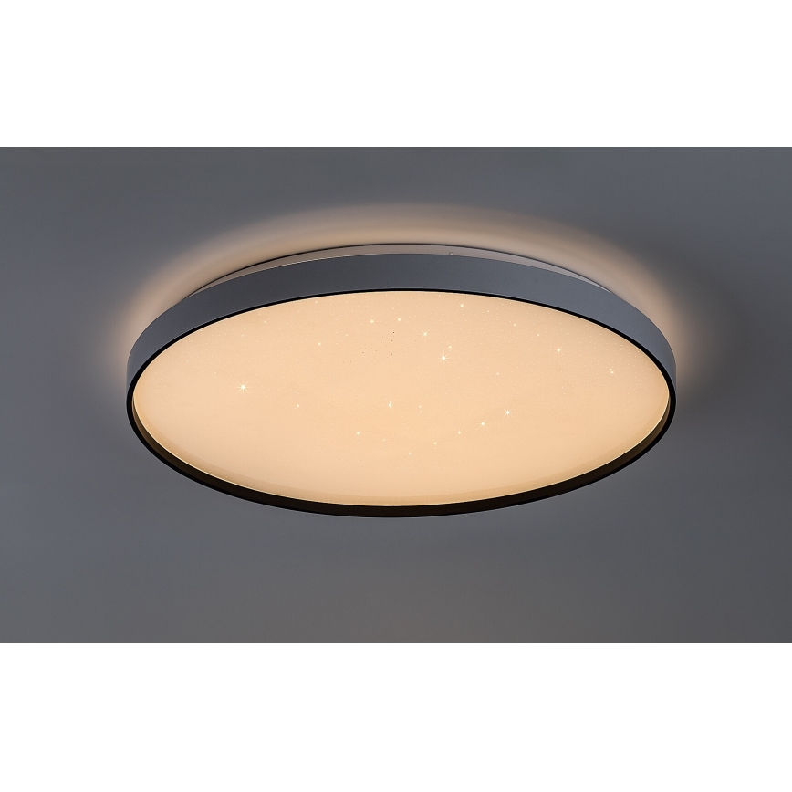 Rabalux - LED griestu gaismeklis ar regulējamu spilgtumu LED/60W/230V 3000-6500K Ø 58 cm + tālvadība