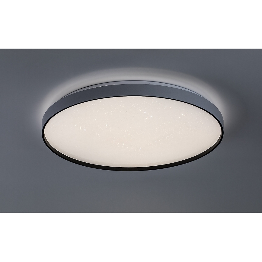 Rabalux - LED griestu gaismeklis ar regulējamu spilgtumu LED/60W/230V 3000-6500K Ø 58 cm + tālvadība