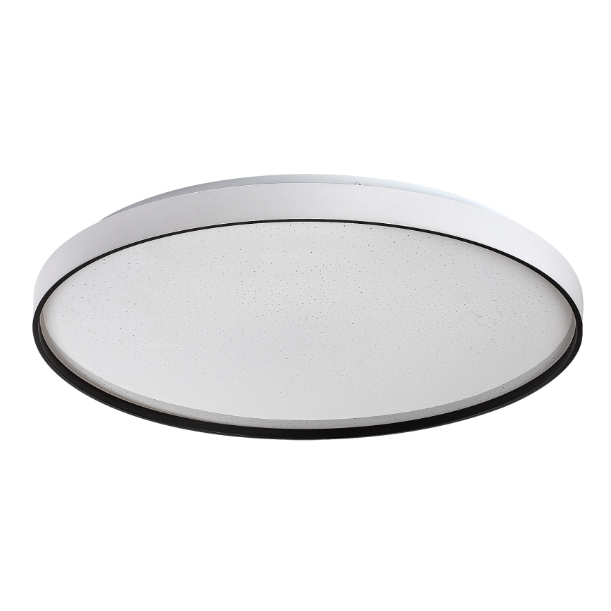 Rabalux - LED griestu gaismeklis ar regulējamu spilgtumu LED/60W/230V 3000-6500K Ø 58 cm + tālvadība