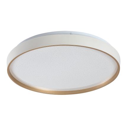 Rabalux - Aptumšojama LED griestu lampa LED/34W/230V 3000-6500K Ø 38 cm + tālvadības pults