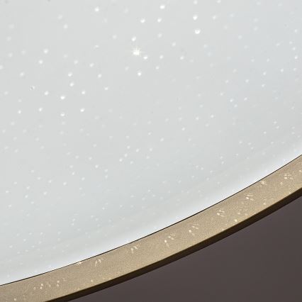 Rabalux - Aptumšojama LED griestu lampa LED/34W/230V 3000-6500K Ø 38 cm + tālvadības pults