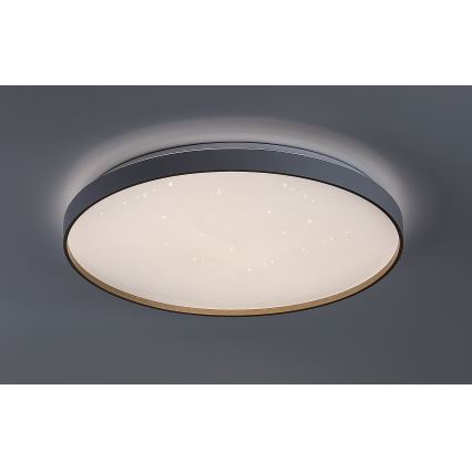 Rabalux - LED dimmējama griestu lampa LED/60W/230V 3000-6500K Ø 58 cm + tālvadības pults