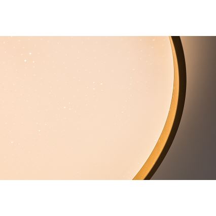 Rabalux - LED dimmējama griestu lampa LED/60W/230V 3000-6500K Ø 58 cm + tālvadības pults