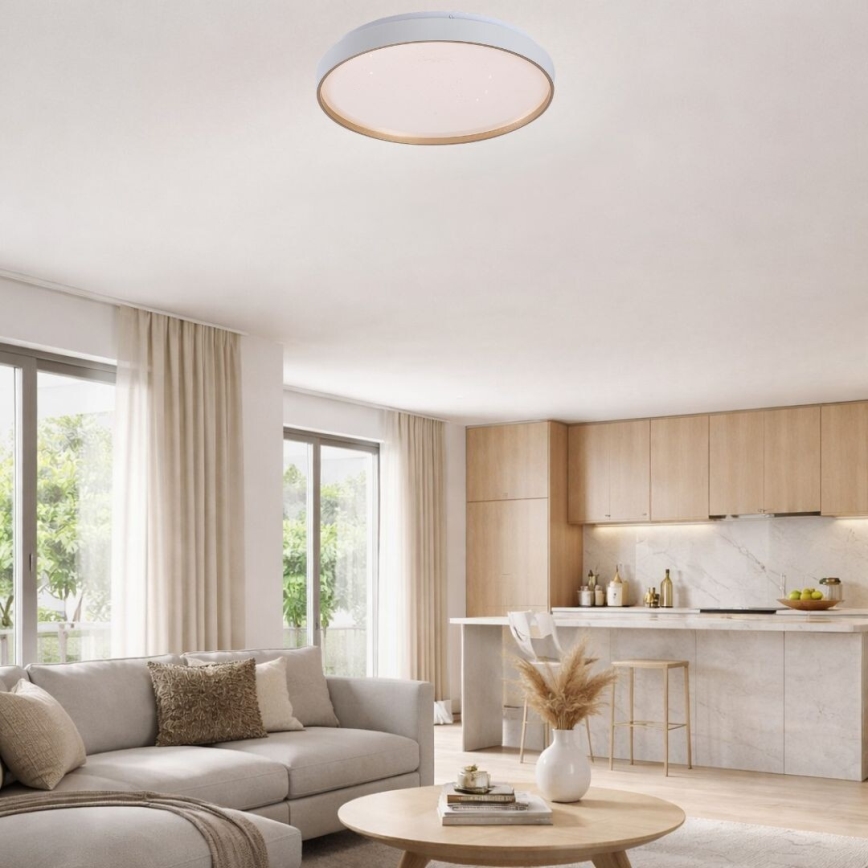 Rabalux - LED dimmējama griestu lampa LED/80W/230V 3000–6500K Ø 77 cm ar tālvadības pulti