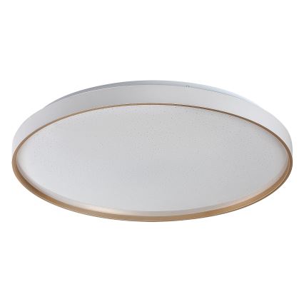 Rabalux - LED dimmējama griestu lampa LED/80W/230V 3000–6500K Ø 77 cm ar tālvadības pulti