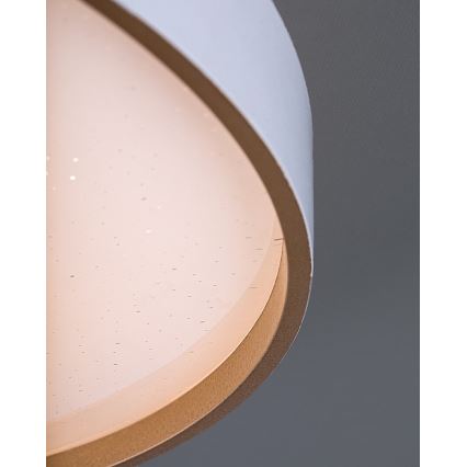 Rabalux - LED dimmējama griestu lampa LED/80W/230V 3000–6500K Ø 77 cm ar tālvadības pulti