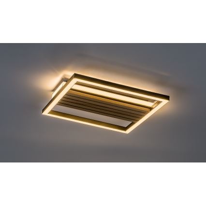 Rabalux - LED griestu gaismeklis LED/26W/230V 3000/4500/6000K